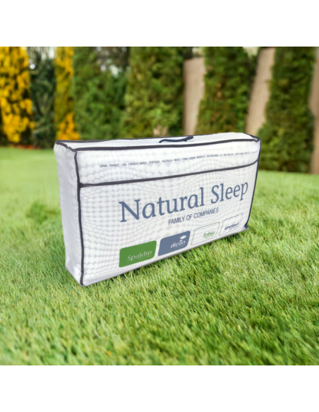 BIOGREEN VISCOELASTIC PILLOW