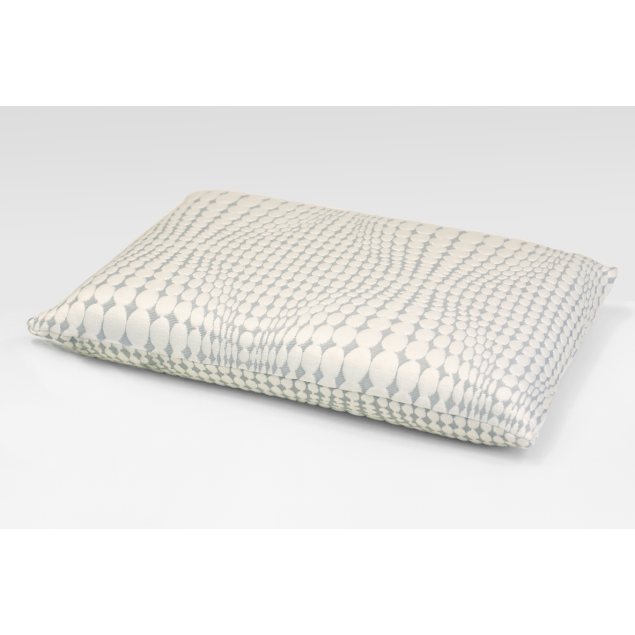 BIOGREEN VISCOELASTIC PILLOW