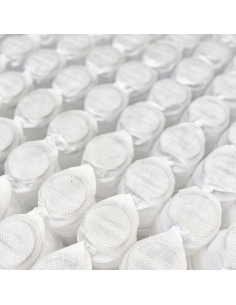 YELLOWSTONE HÍBRIDO 2