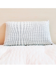 copy of BIOGREEN VISCOELASTIC PILLOW